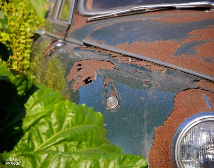 Jaguar Mk2 3.8 abandoned classic cars