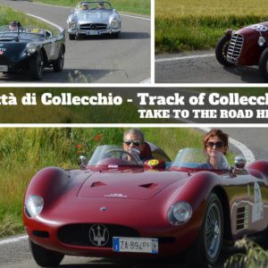 Highlights from the Circuito Citta di Collecchio 2019